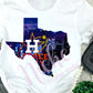 * Astros Texas Decal