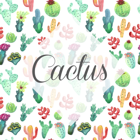 *Cactus Vinyl Collection (CACT)