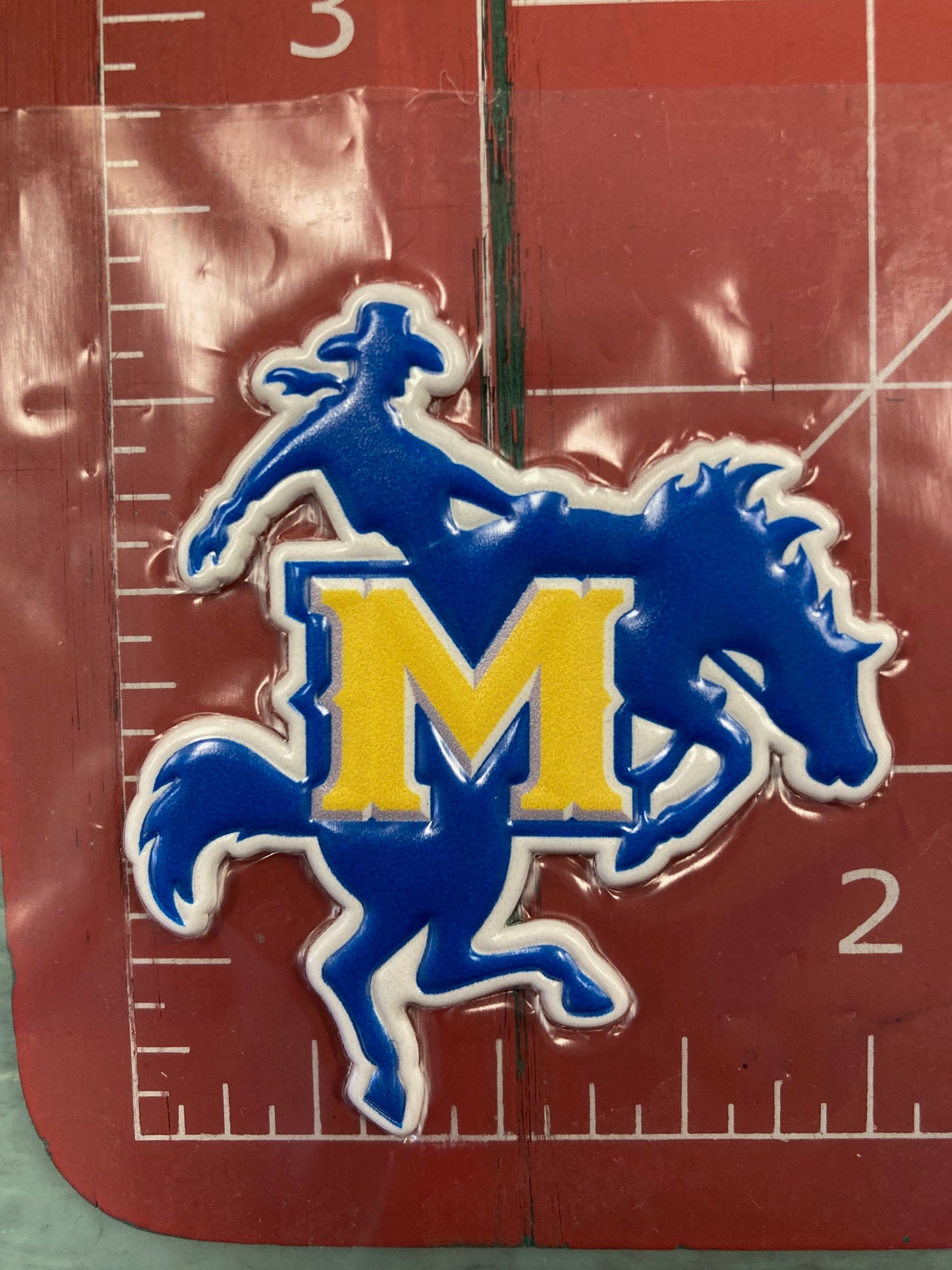 3-D School Patches