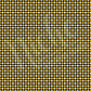 *Black & Yellow Collection (SV BY)