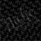 *Sports Printed Collection (SP)