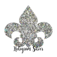 HTV Glitter 5 Foot Roll DISCOUNTED