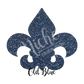 HTV Glitter 5 Foot Roll DISCOUNTED