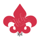 Oracal 651