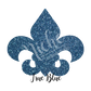 HTV Glitter 5 Foot Roll DISCOUNTED
